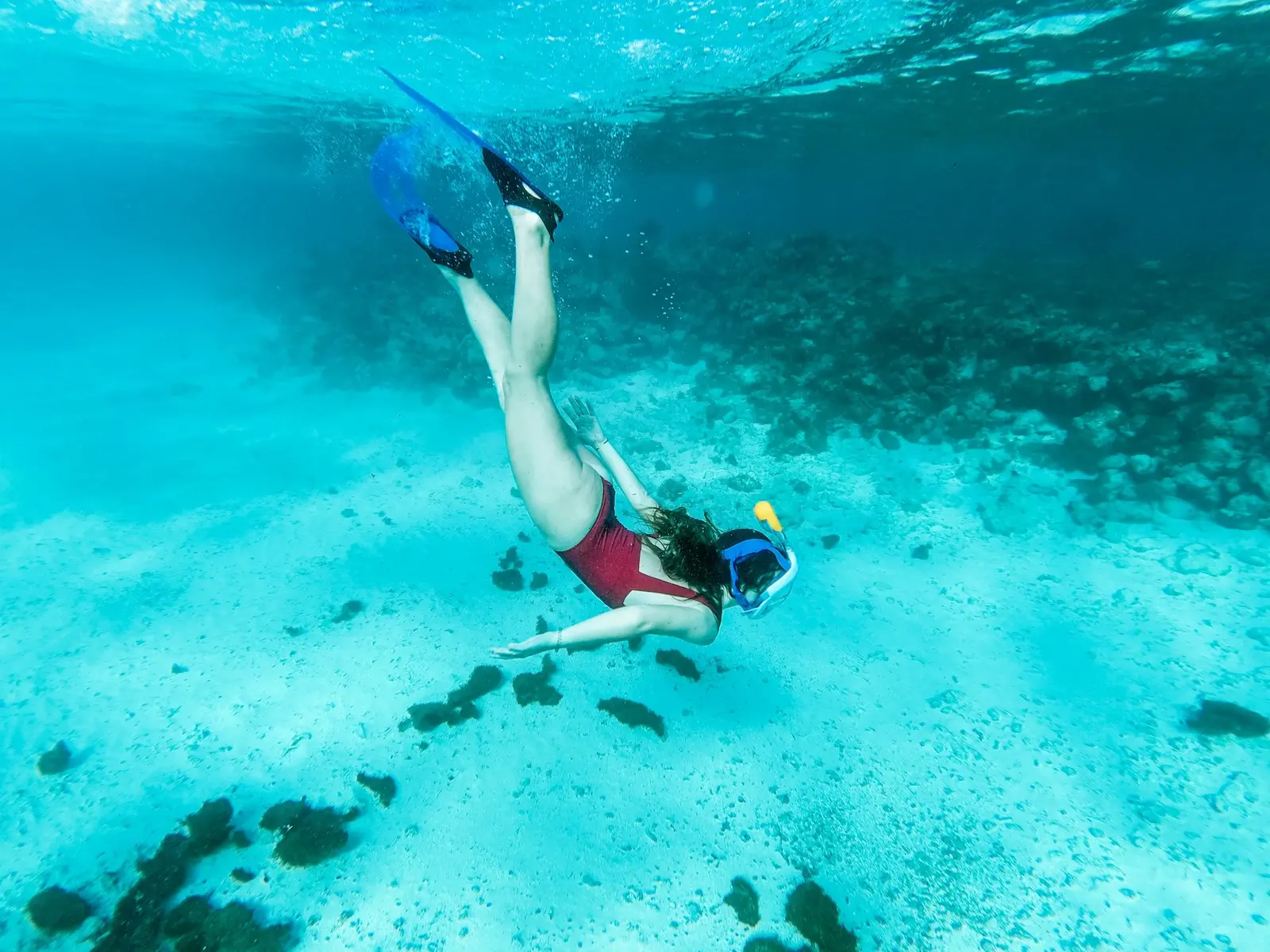 Snorkelers floating above bright coral and tropical fish on a shallow reef in the clear turquoise water off Cozumel