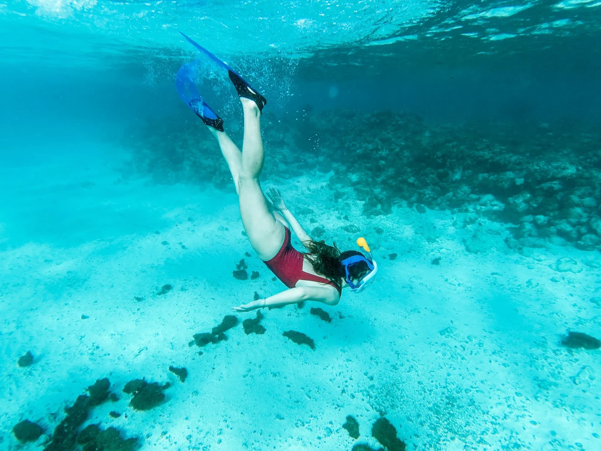 Snorkeler exploring a coral reef with tropical fish near Cancún, Mexico