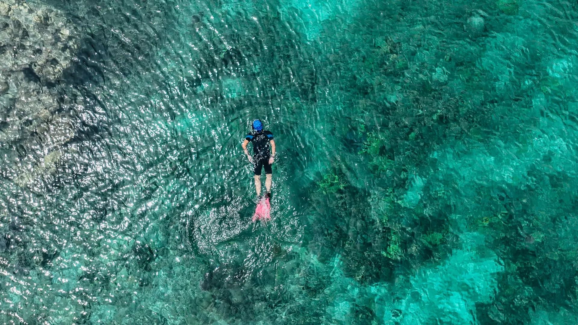 A snorkeler swimming above a green sea turtle in the clear turquoise water of Akumal Bay near Tulum