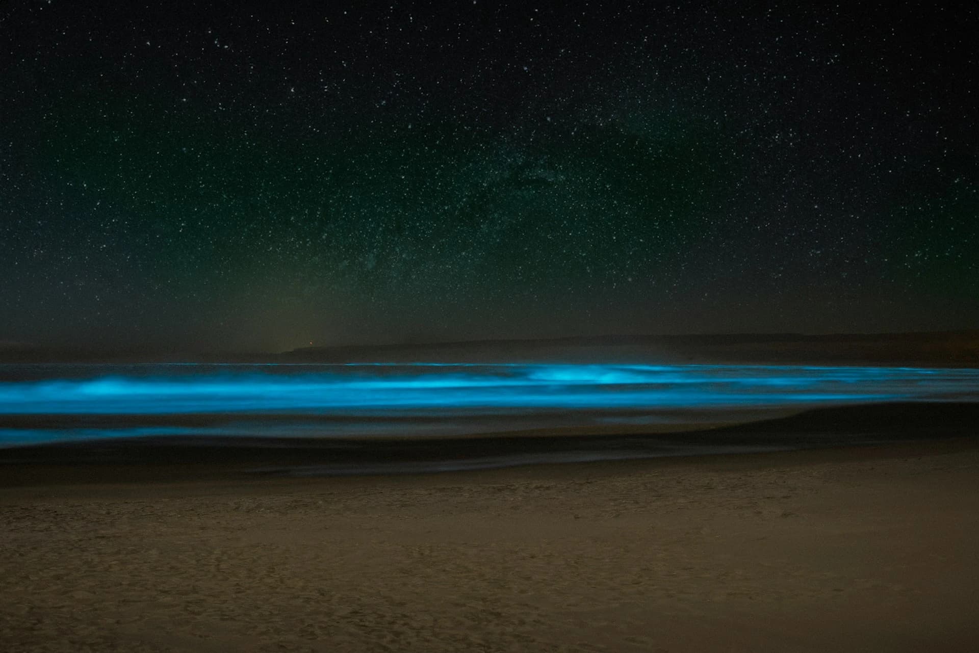 Kayaker paddling through glowing bioluminescent water at night near Isla Holbox, Mexico