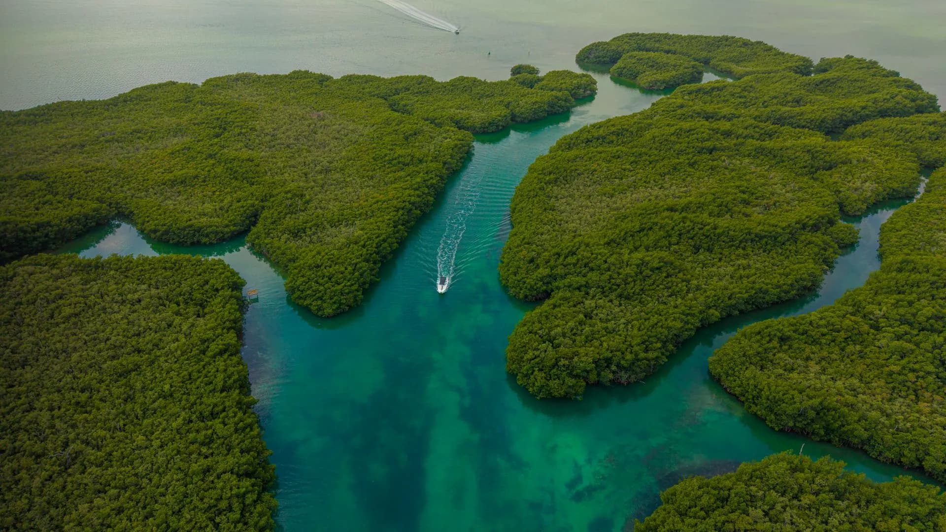 Lanchas rápidas para dos personas siguiendo a la lancha del guía por un canal de manglar en la Laguna Nichupté de Cancún
