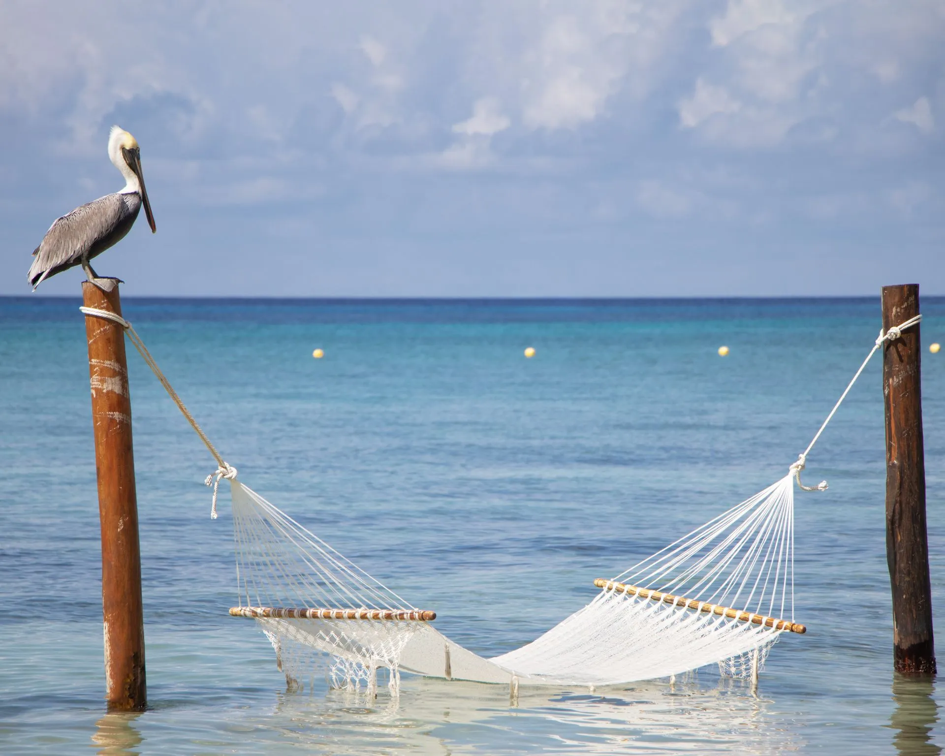 Clear calm water over a Cozumel reef on the leeward coast on a warm, still April morning