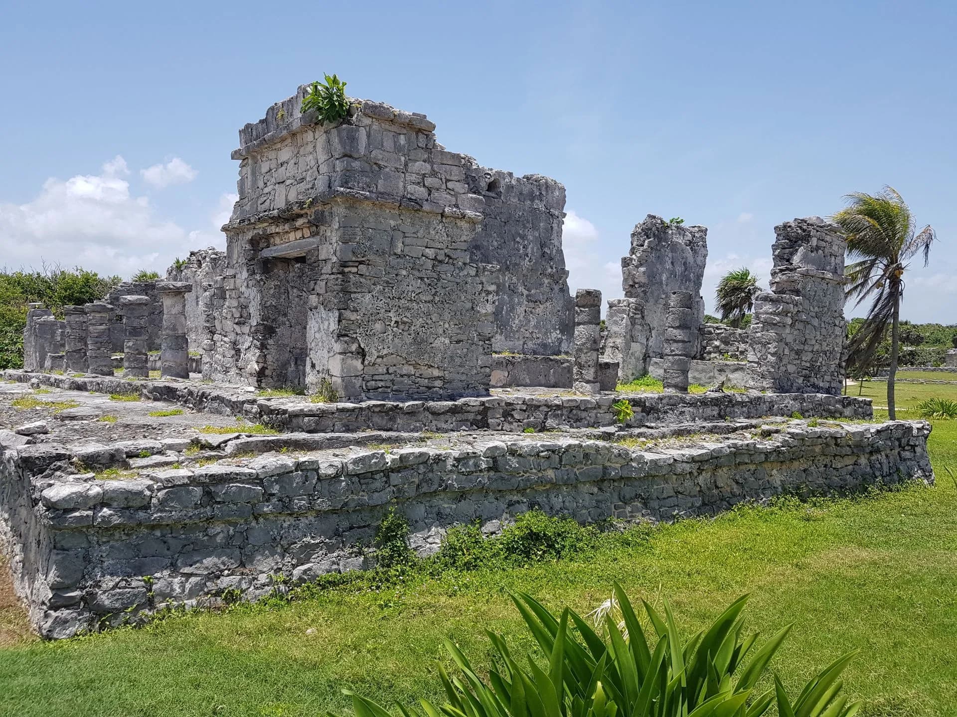 Stone Mayan ruin at San Gervasio surrounded by jungle on Cozumel island