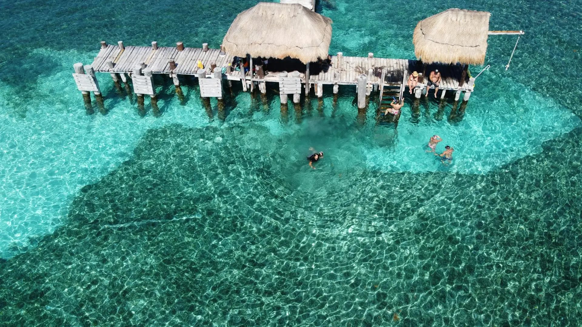 Warm turquoise Caribbean water off Isla Mujeres under a bright summer July sky at the peak of whale shark season