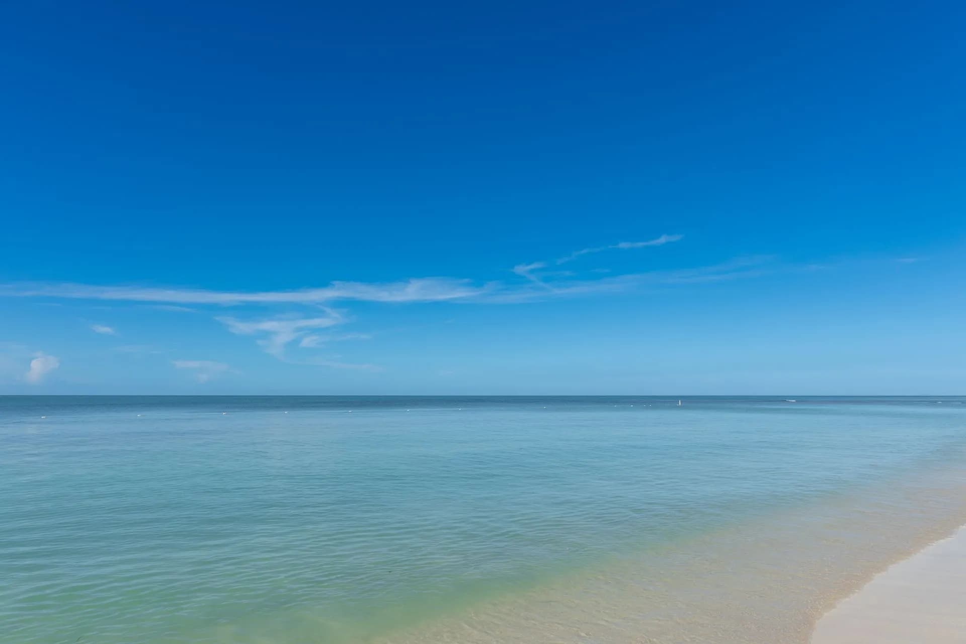 Calm, clear turquoise water over the reef off Puerto Morelos on a sunny dry-season day in January
