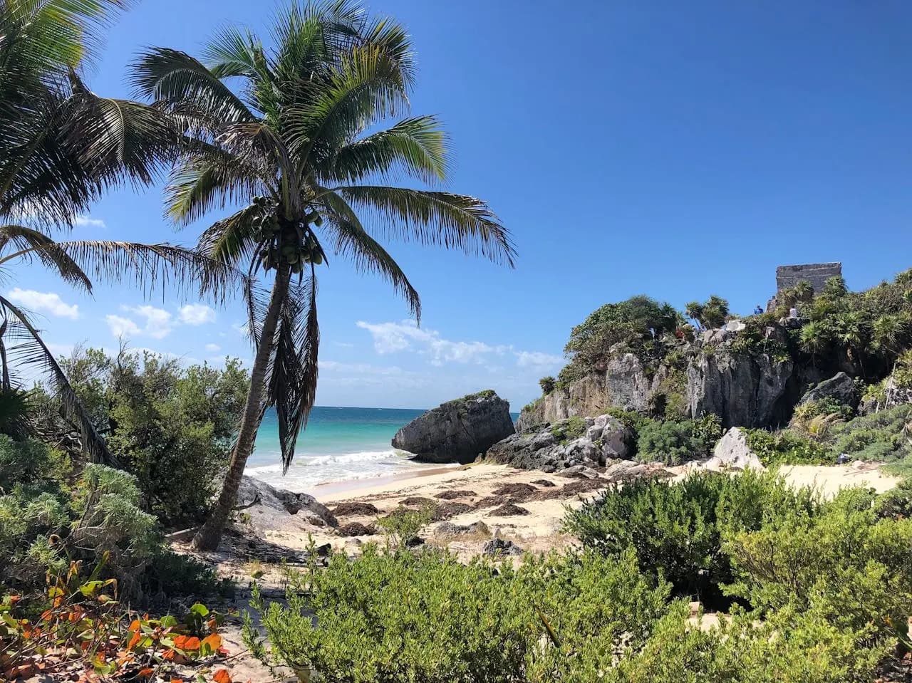 Sargassum seaweed along the beach in Tulum on the Riviera Maya, Mexico