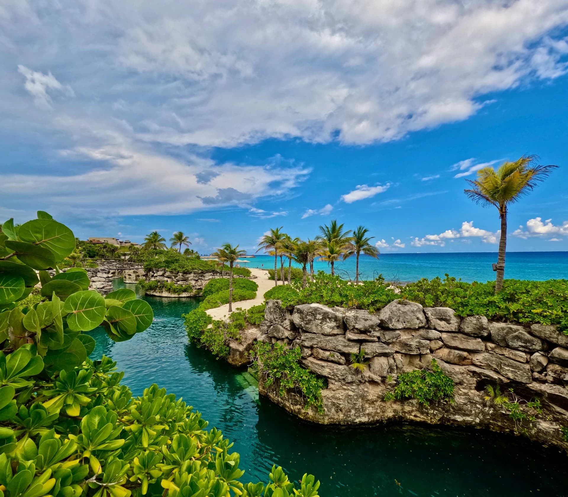 Snorkelers floating through a turquoise inlet beside jungle ziplines on the Riviera Maya, Mexico