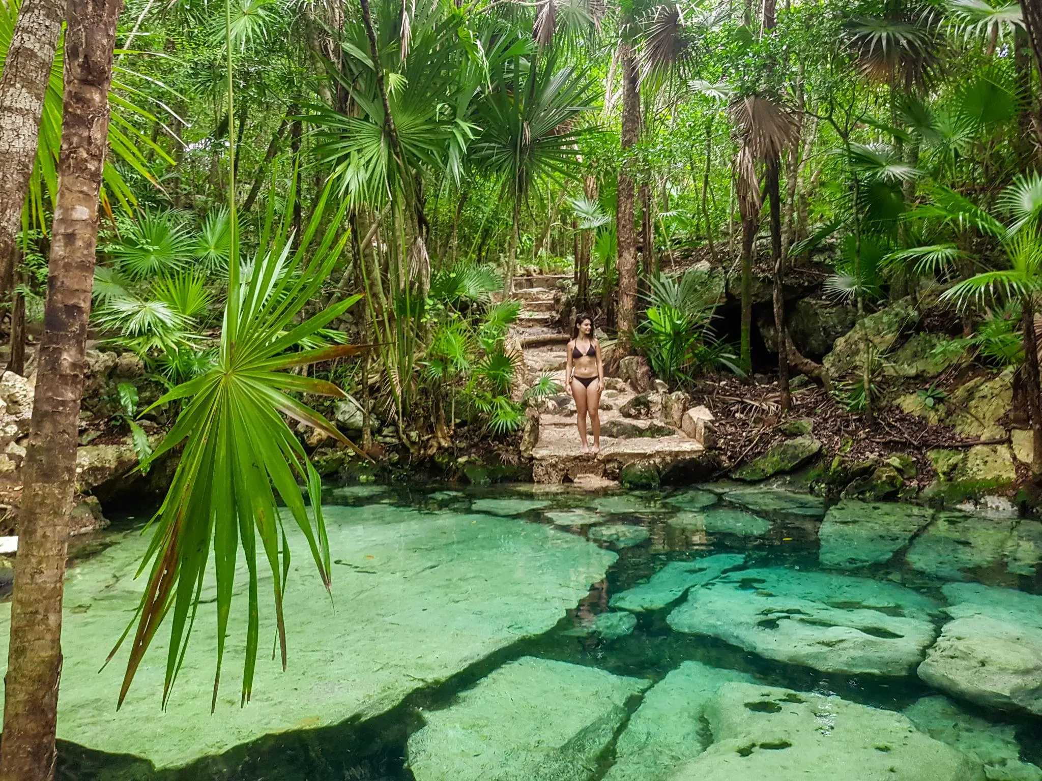 An iconic open cenote in the Riviera Maya, Yucatán Peninsula, with jungle surrounding crystal-clear freshwater